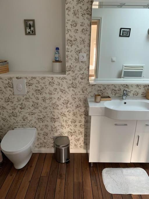 מץ Appartement Duplexcoeur De Ville מראה חיצוני תמונה